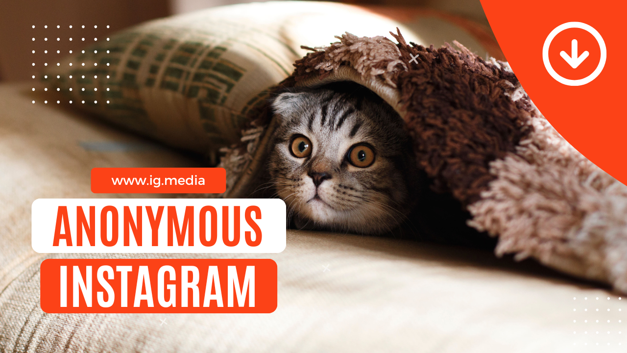 Illustration of a person anonymously viewing Instagram stories and profiles on a phone