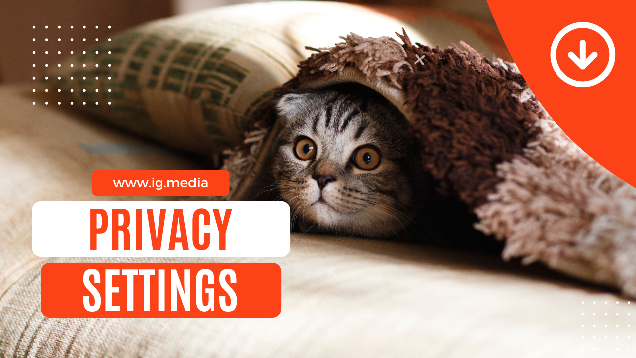 Guide to adjusting social media privacy settings for better account security