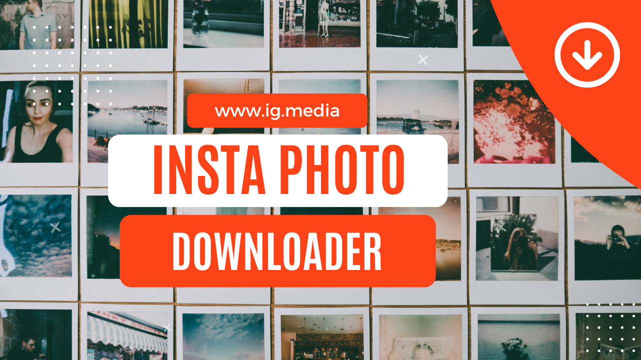 IG Media’s Insta Photo Downloader showing a collage of Polaroid-style Instagram