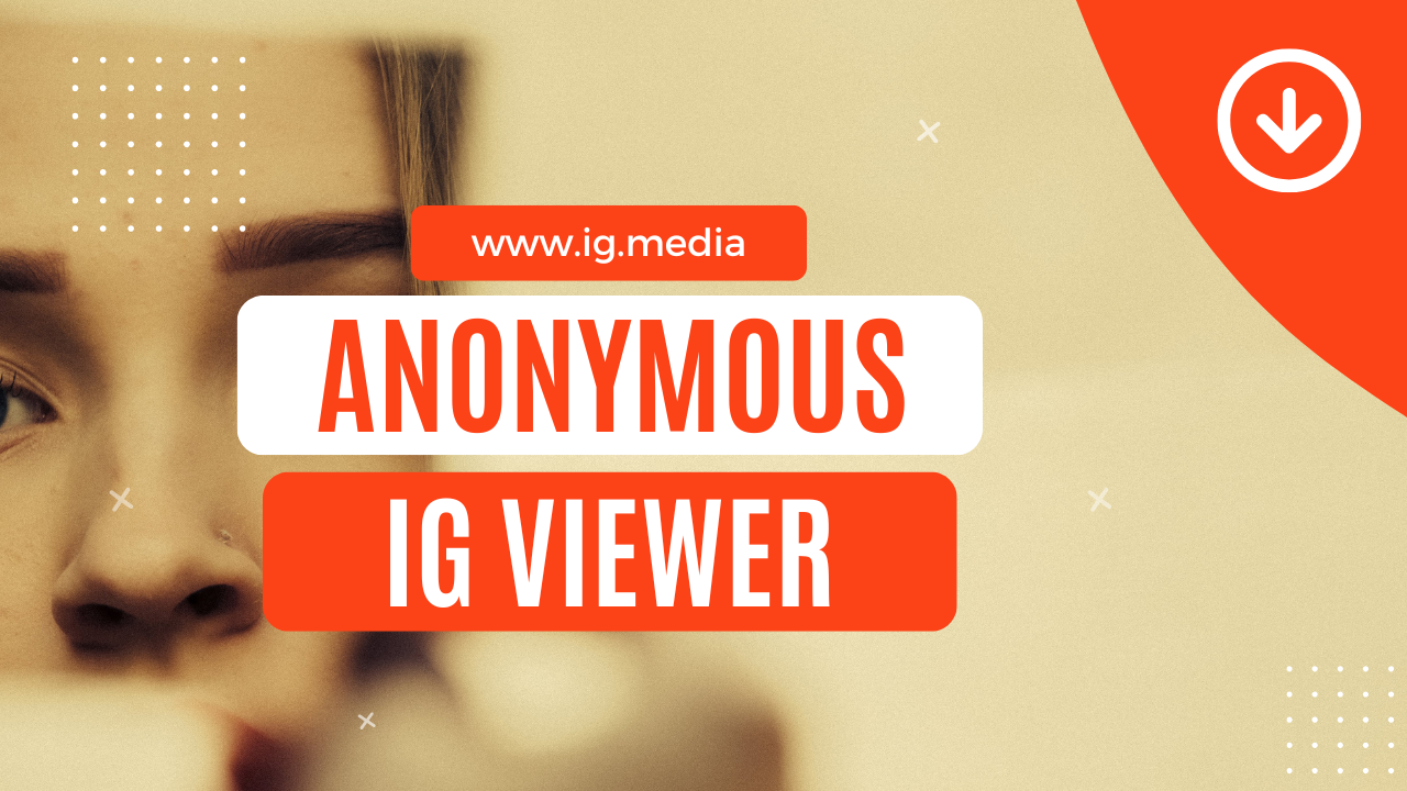 Anonymous Instagram viewer tool for private browsing of stories and profiles